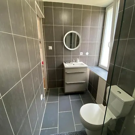 Appartement Au Bord D’une Rivière ! Soultzeren